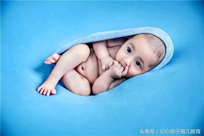 新澳门一肖中100%期期准全面释义、综合解答解释落实